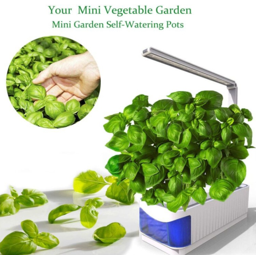 Multifunctional Intelligent Plant Growth Light