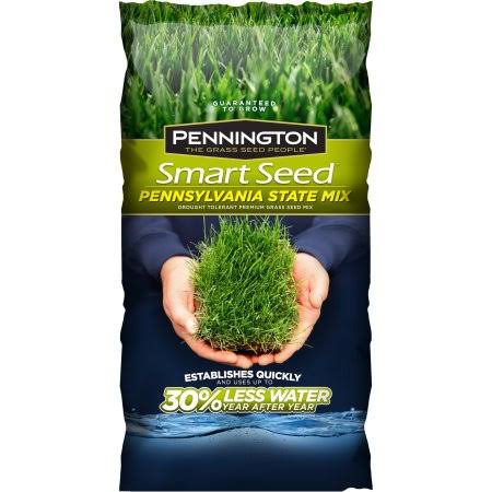 Pennington 7283336 Smart Seed Mix Bag